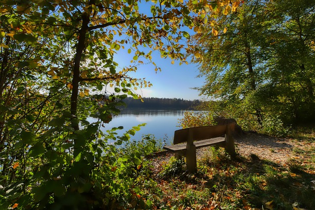 从沃克的角 从沃克的角