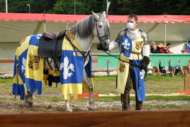 作为后卫 作为后卫