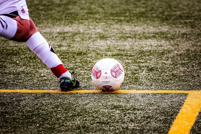 草皮松散 草皮松散