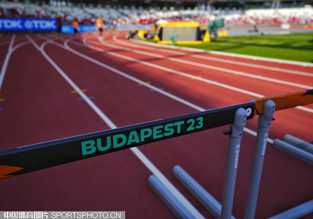 尤其是郑钦 尤其是郑钦