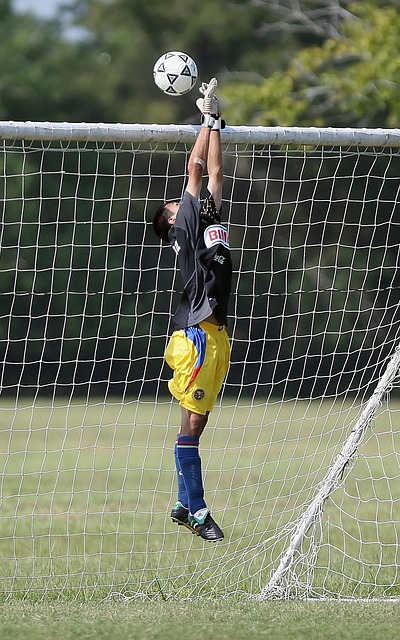 的加入勢必 的加入勢必