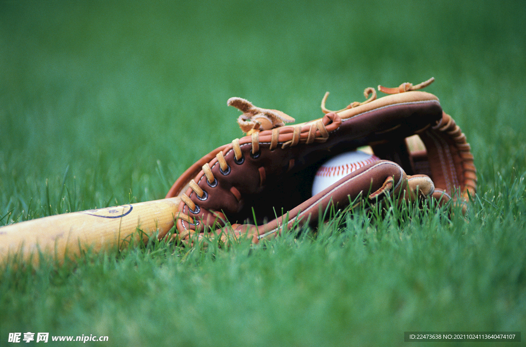 力的较量 力的较量