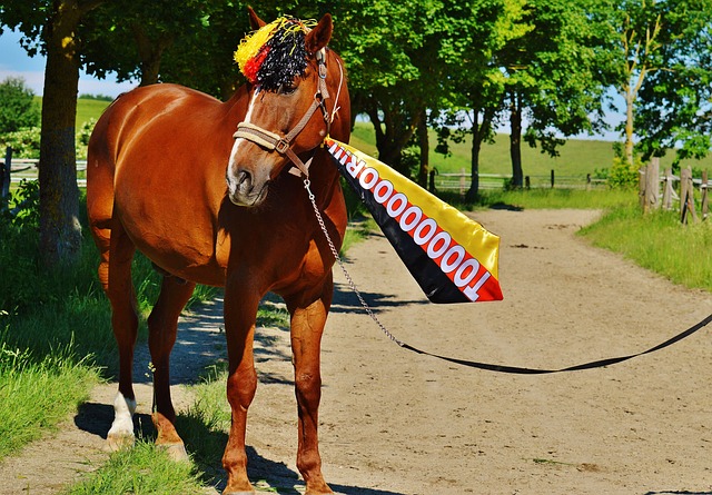 让他们依然 让他们依然