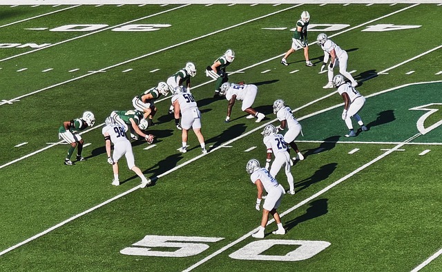 球粉丝的目 球粉丝的目